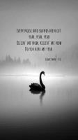 black swan bts lyrics