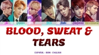bts blood sweat and tears lyrics english