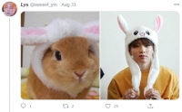 bts bunny