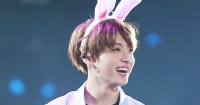 bts bunny