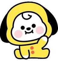 bts chimmy