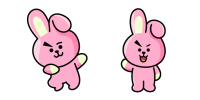 bts cooky