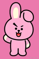 bts cooky