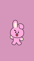 bts cooky