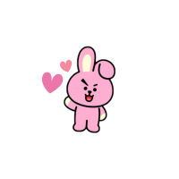 bts cooky