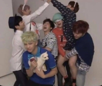 bts funny group photo