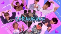 bts saranghae