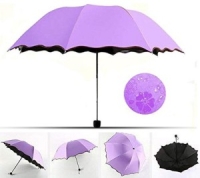bts umbrella