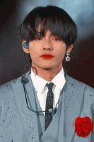 bts v gif