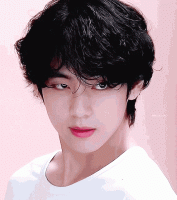 bts v gif