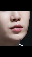 bts v lips