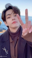 bts v sign