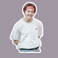 bts v stickers