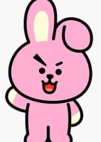 cooky bts