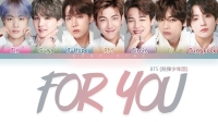 for you bts lyrics