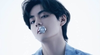 images of bts v