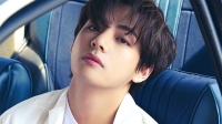 images of bts v