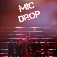 mic drop bts song download