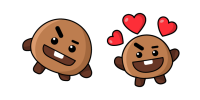 shooky bts