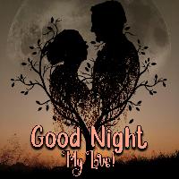 couple good night images