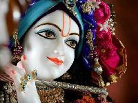 cute krishna images for whatsapp dp