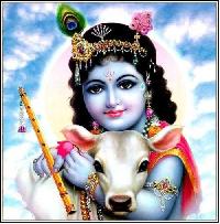 cute krishna images for whatsapp dp