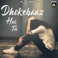 dhokebaaz image