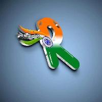 different style tiranga image name