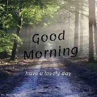 good morning forest images