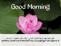 good morning images in malayalam