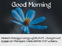 good morning images in malayalam