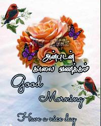 good morning images in tamil for whatsapp