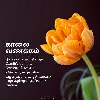 good morning images in tamil for whatsapp