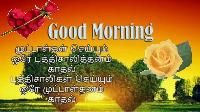 good morning images in tamil for whatsapp