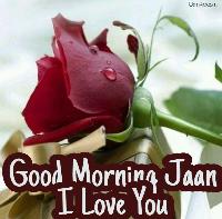 good morning jaan image