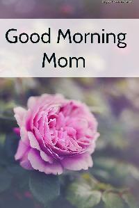 good morning mom images