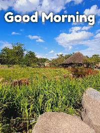 good morning village images