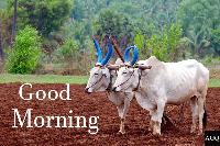 good morning village images