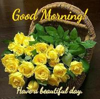 good morning yellow rose images