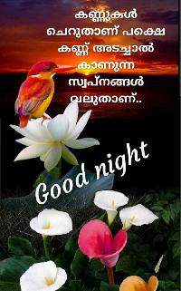 good night images malayalam new