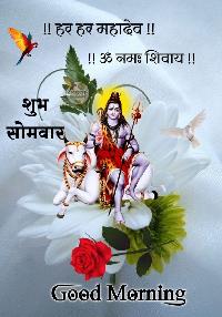 har har mahadev good morning images