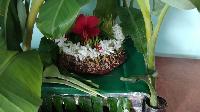 hartalika puja images in marathi