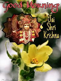 jai shree krishna good morning images