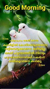 lovers good morning images malayalam