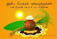 pongal wishes in tamil hd images