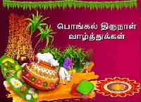 pongal wishes in tamil hd images