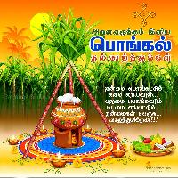 pongal wishes in tamil hd images