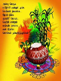 pongal wishes in tamil hd images