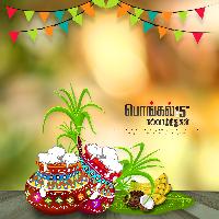 pongal wishes in tamil hd images