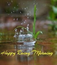 rainy good morning images hd